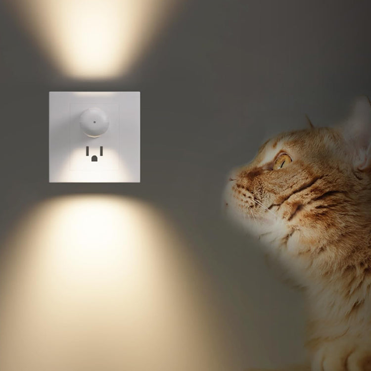 Veilleuse murale LED intelligente avec variateur automatique