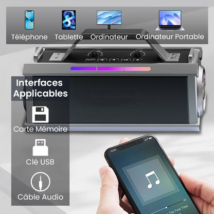 Enceinte Karaoké Bluetooth 200W avec microphone sans fil