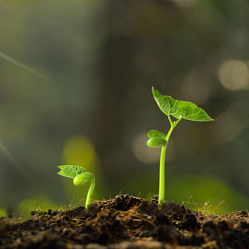 Activateur de sol anti-agglomérant, acide et alcalin🌱💥💥 offre limitée dans le temps