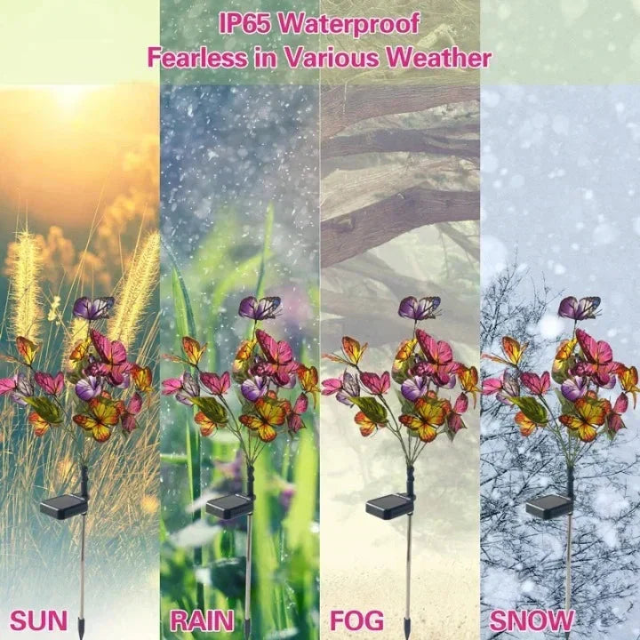 🦋Lampes papillons solaires étanches pour l'extérieur💖